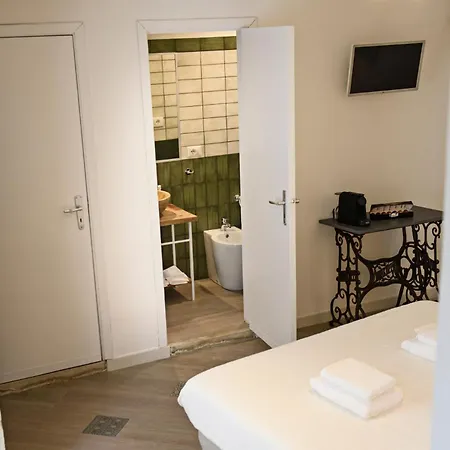 Armuricana 莫迪卡